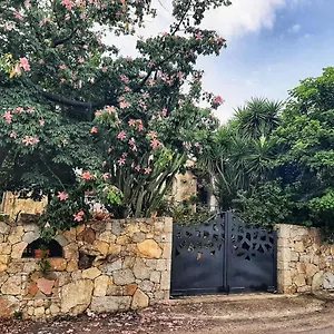 Chorisia Bed and breakfast
